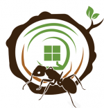 ant-logo-1